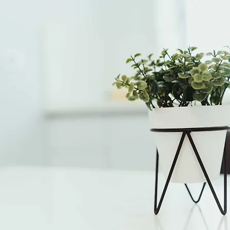 Click&guest - Churruca Canteras *