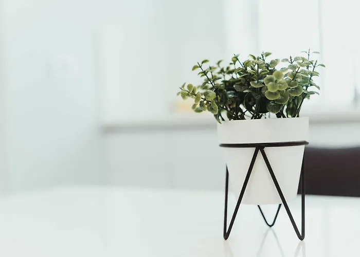 Click&guest - Churruca Canteras *